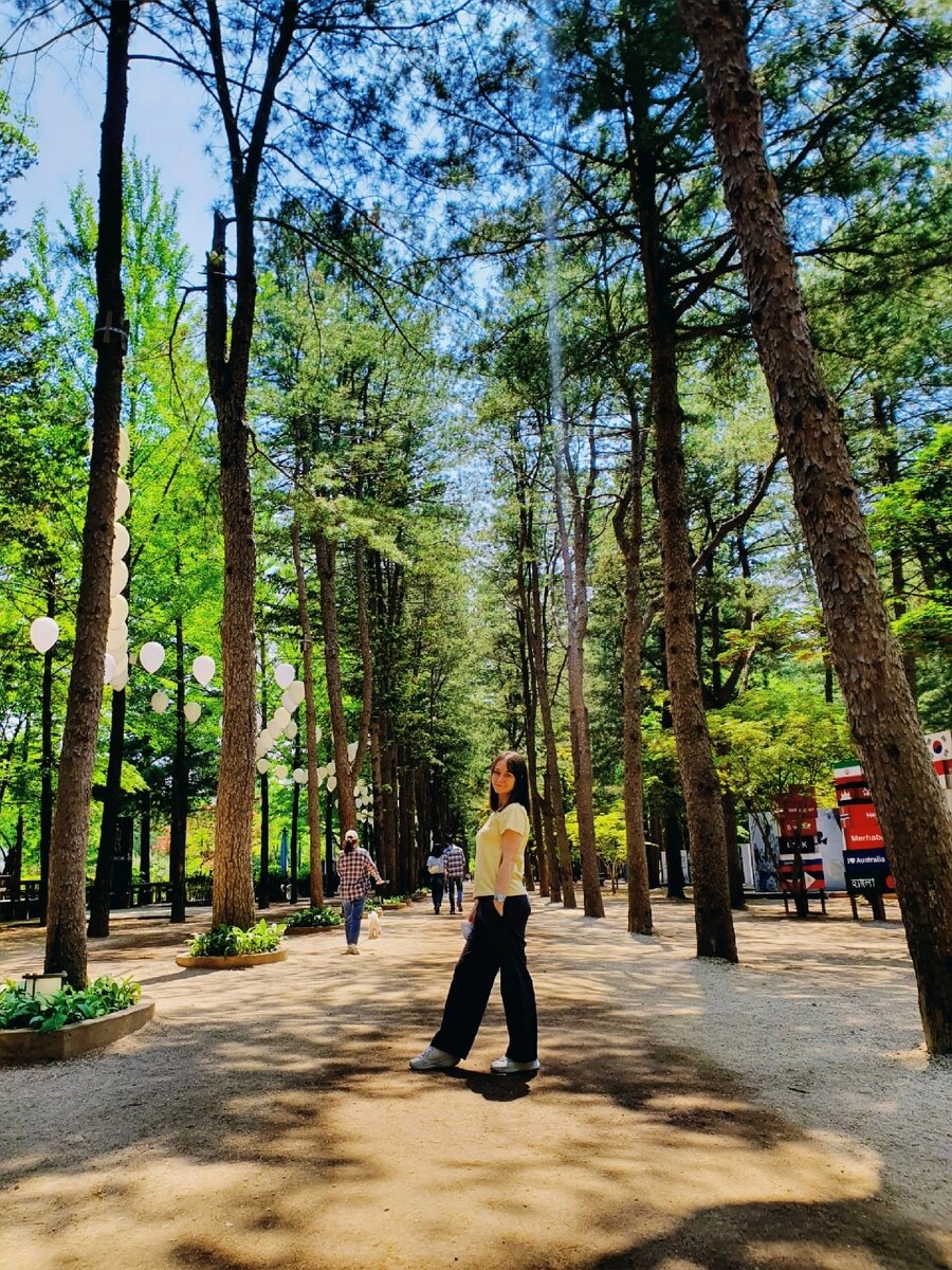 Остров Нами, однодневное путешествие