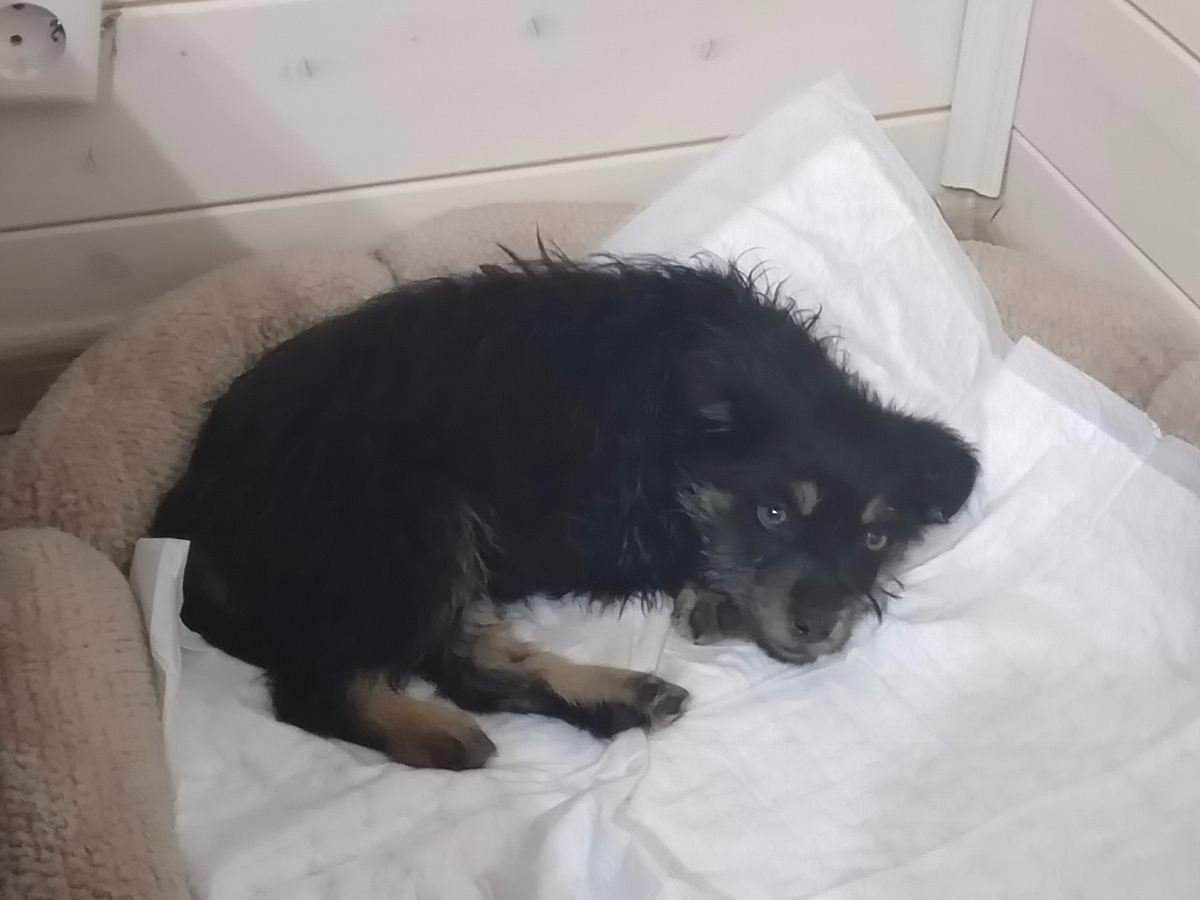 имя пока не придумали