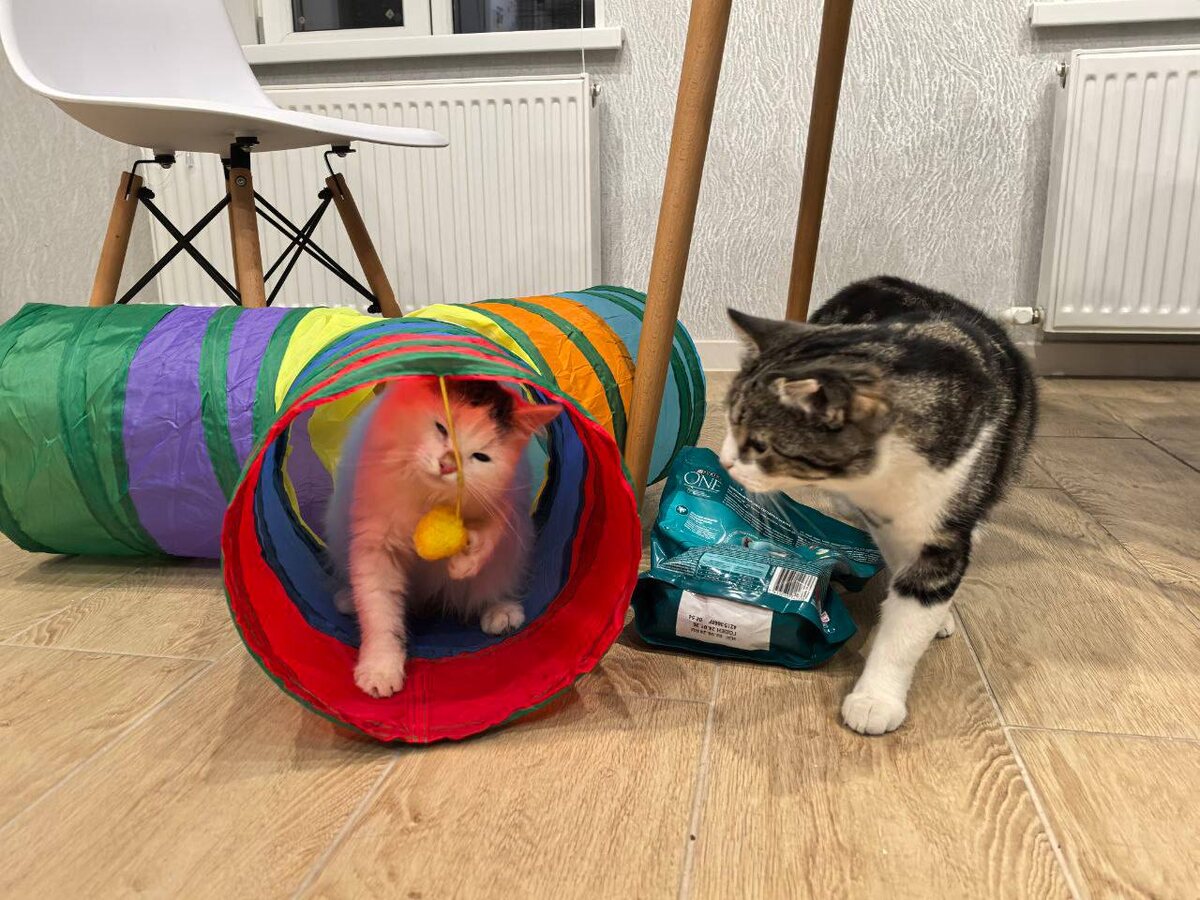 Фото из архива автора