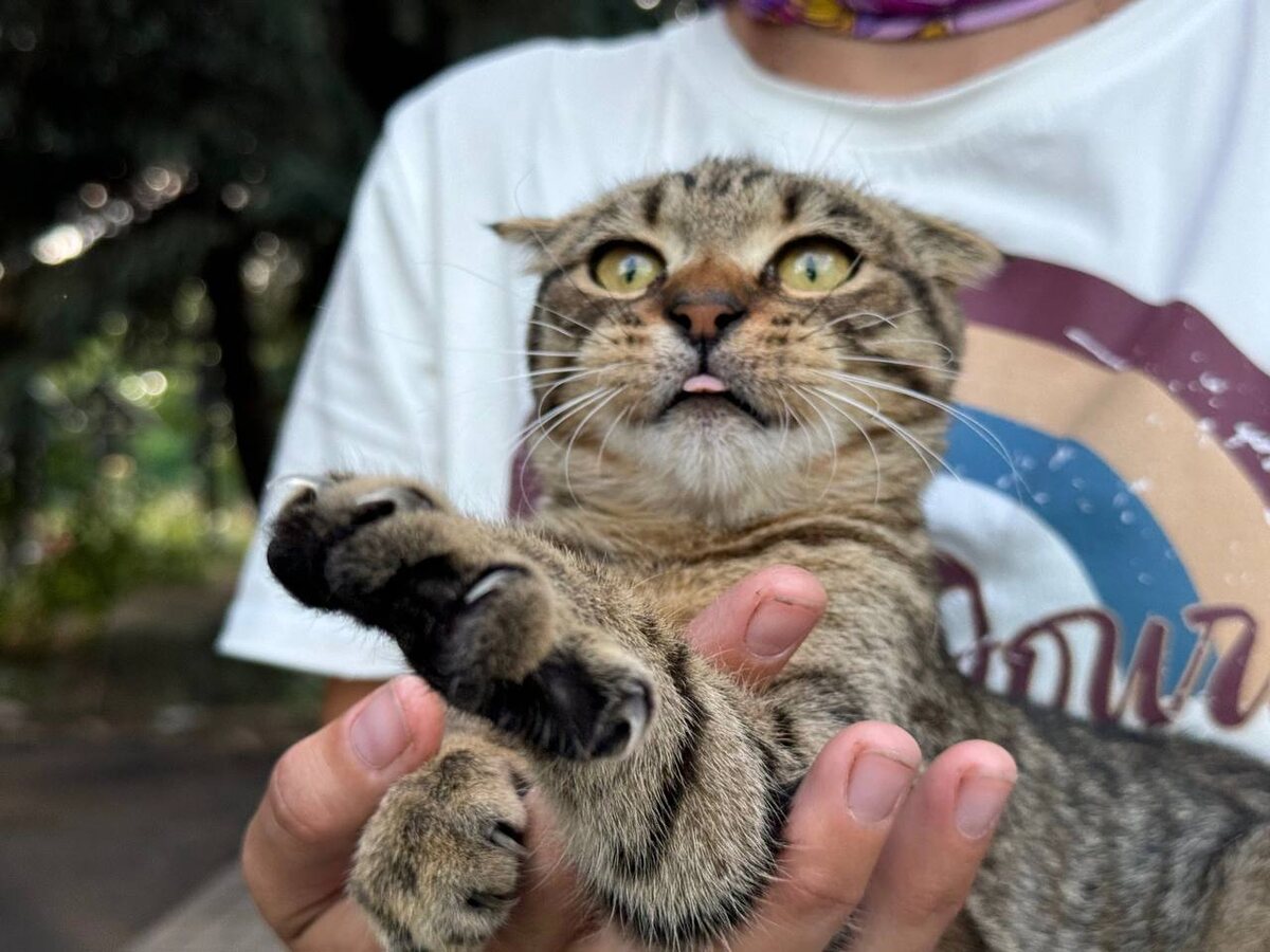 Фото из архива автора