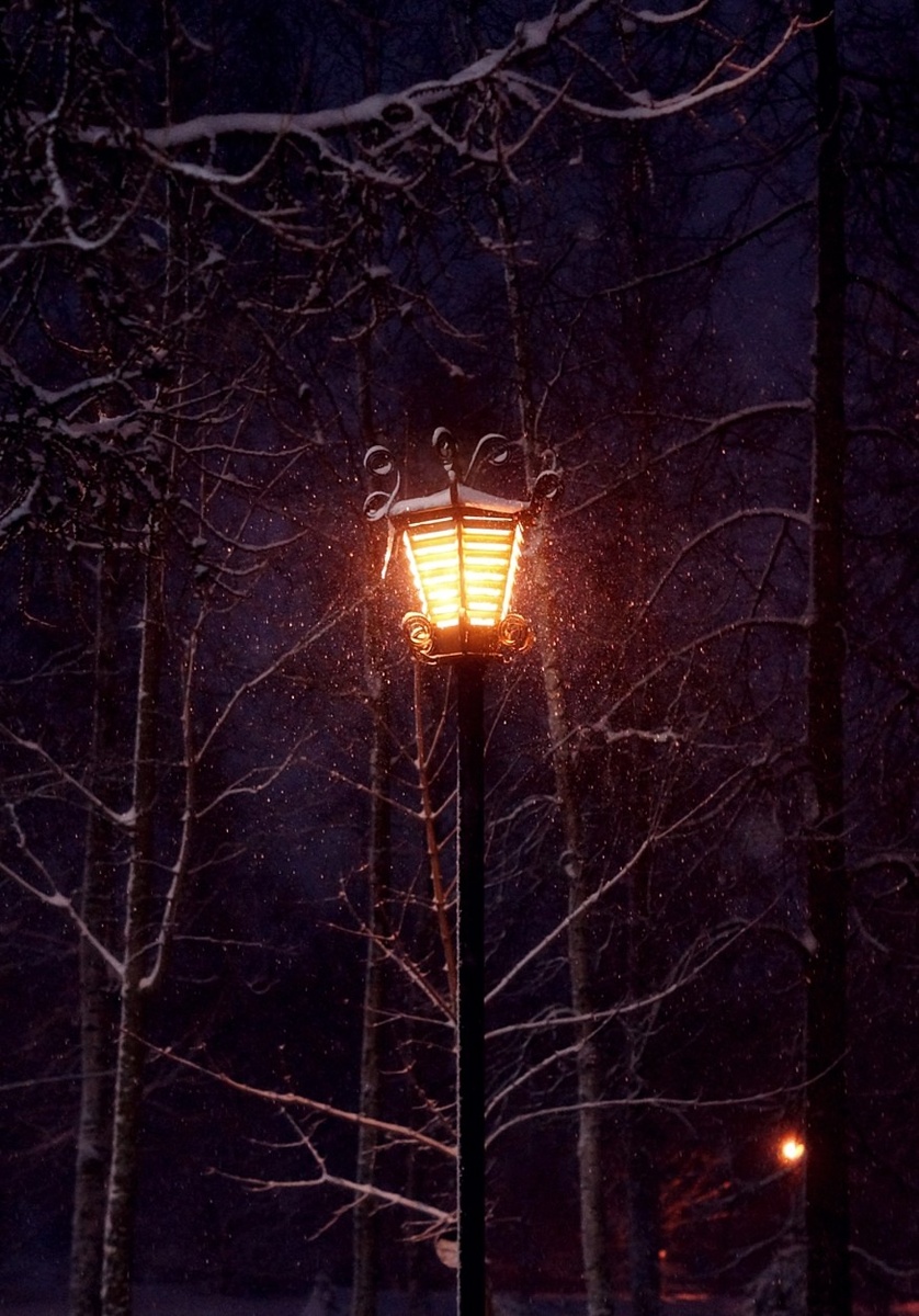 Все фото авторские. 