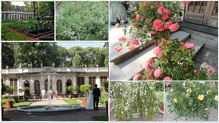 Летний сад в Санкт-Петербурге