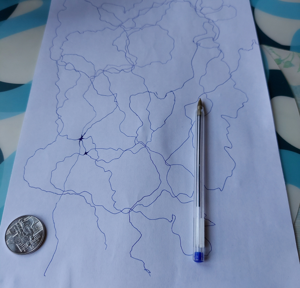 Фото автора.