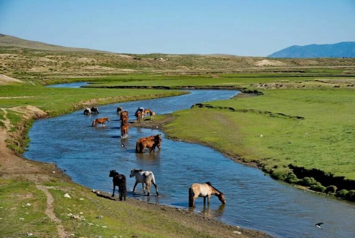 открытые источники интернета