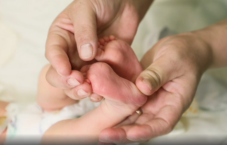    Сергей Петров/NEWS.ru