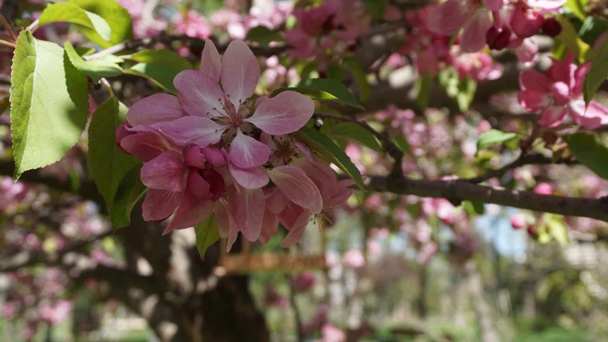 вдохновение - рядом, нужно лишь замедлить шаг...