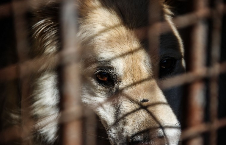    Сергей Лантюхов/NEWS.ru