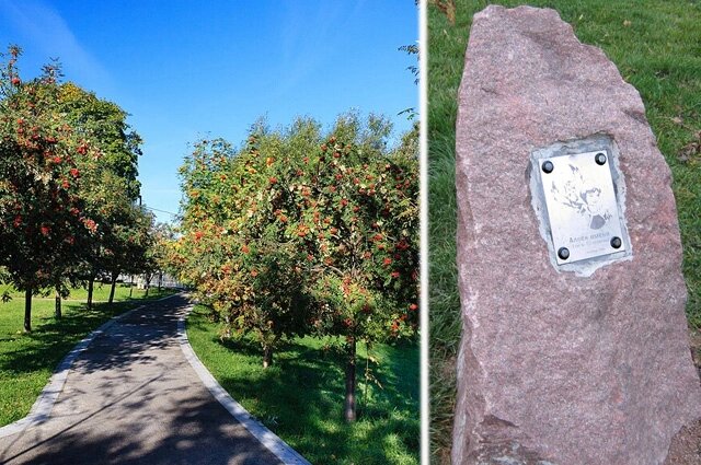    Аллея Алисы Селезнёвой, памятный камень. Фото: ru.wikipedia.org