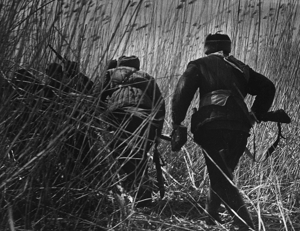 Фото: TASS/imago stock&people
Белорусский партизанский отряд