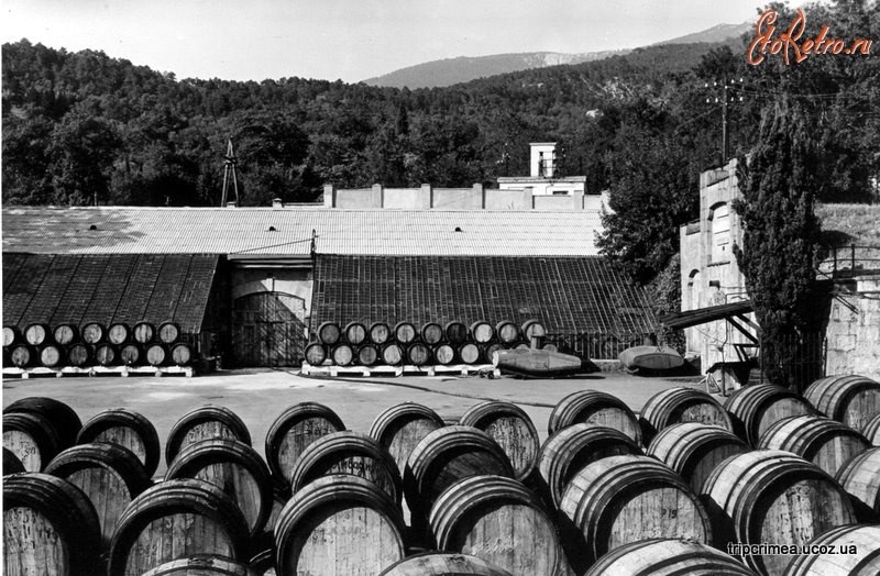 Фото из интернета.