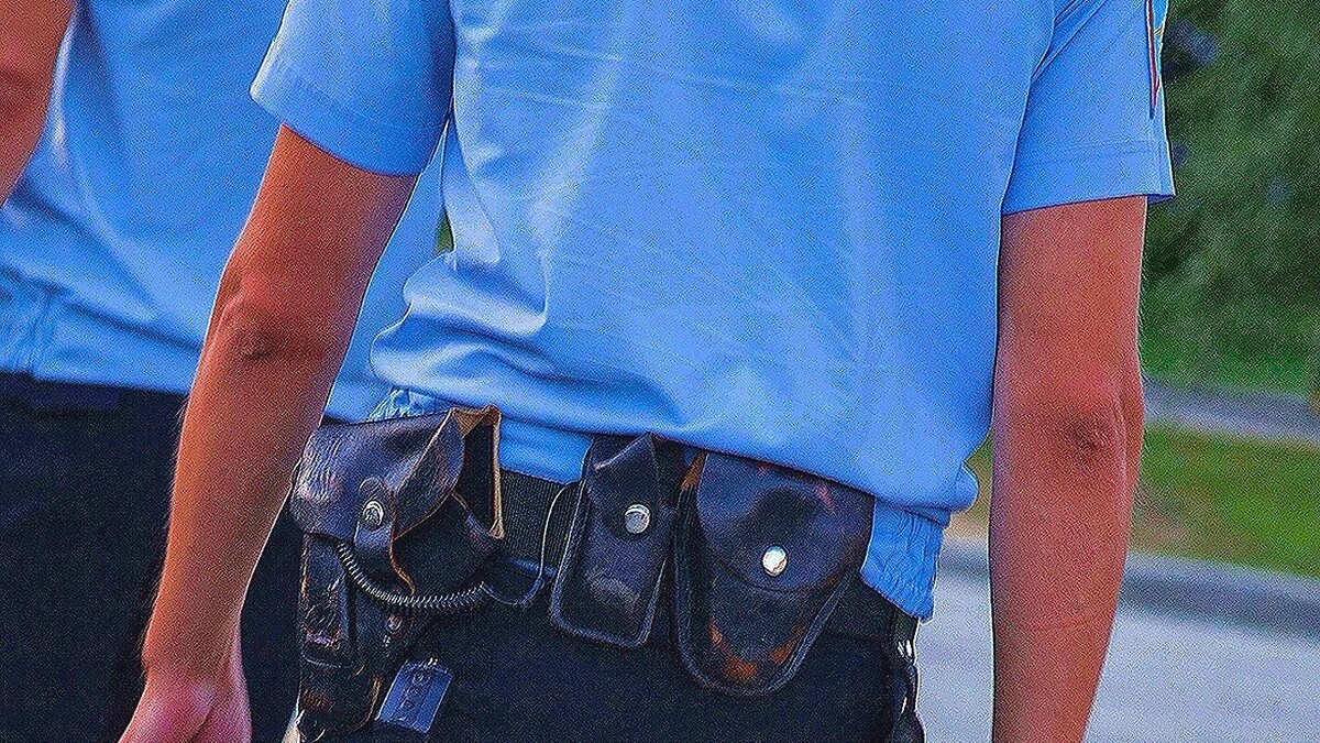     Автор: KubanPress