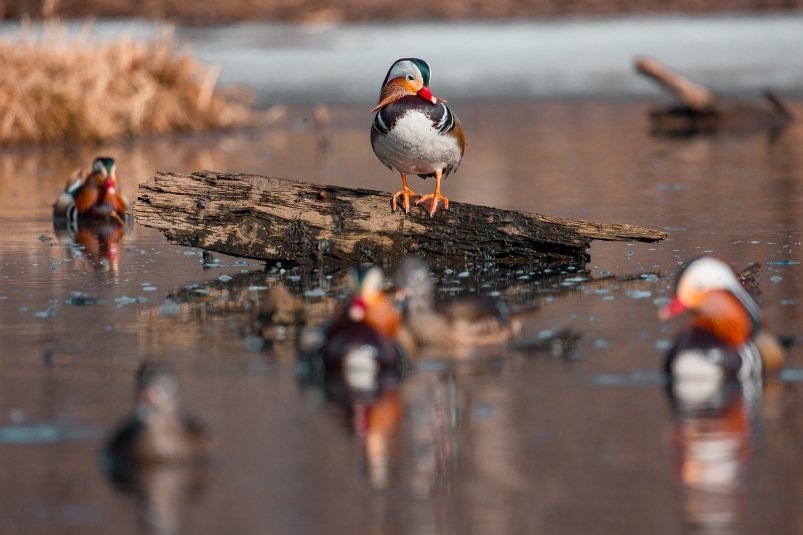    Фото: primamedia.ru Георгий