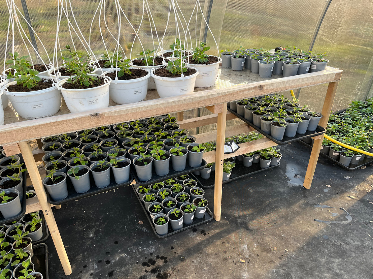 Мои эксперименты)