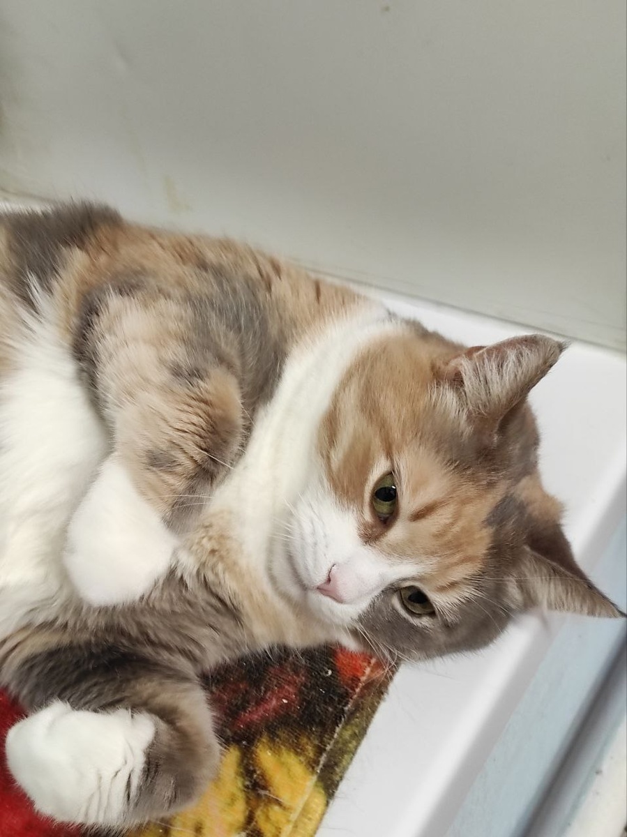 Посмотрите на меня