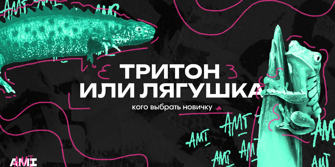 Лягушка или тритон – кого выбрать новичку?
