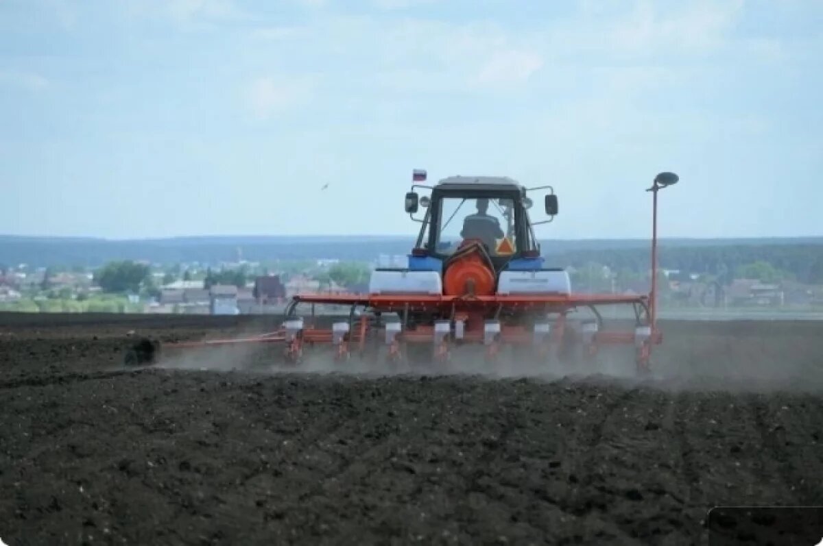    Планируется, что посевная кампания на Среднем Урале стартует в третьей декаде апреля.
