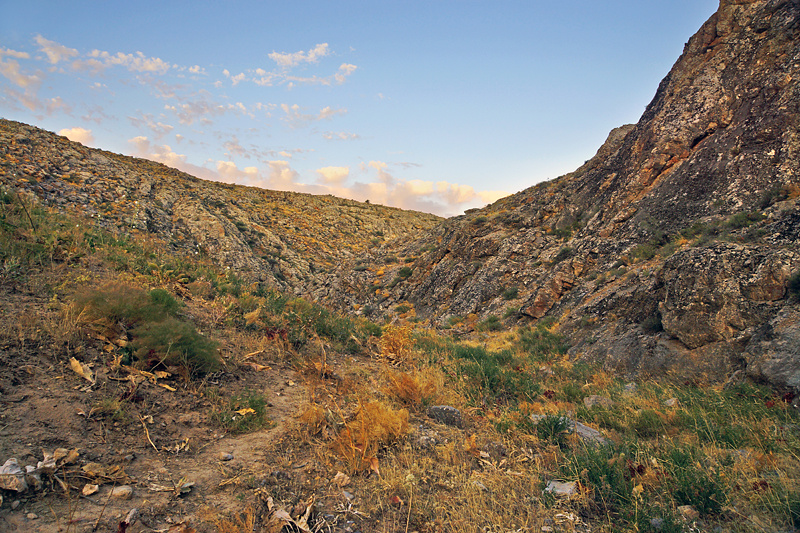 Какими-то сногсшибательными видами это неглубокое ущелье похвастать не может, и я убедился в этом ещё в первой поездке, поэтому основную ставку делал на фото животных и растений