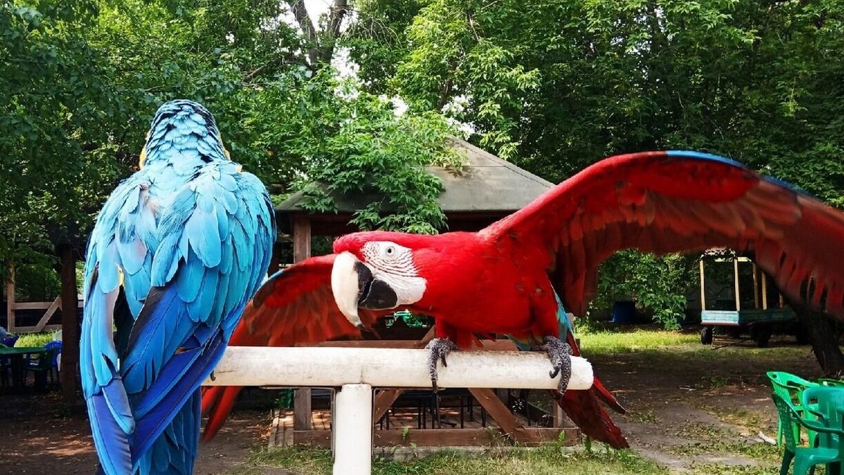     Источник: 1MI