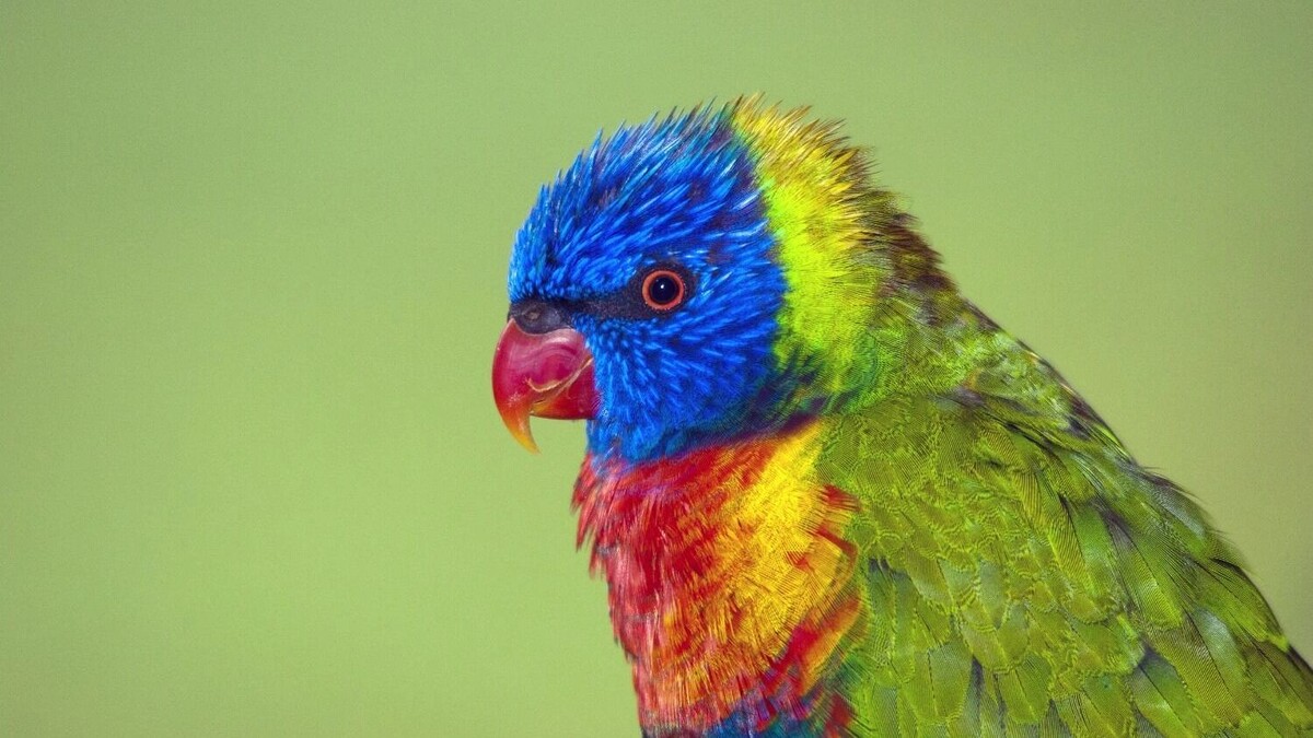     Источник: freepik.com