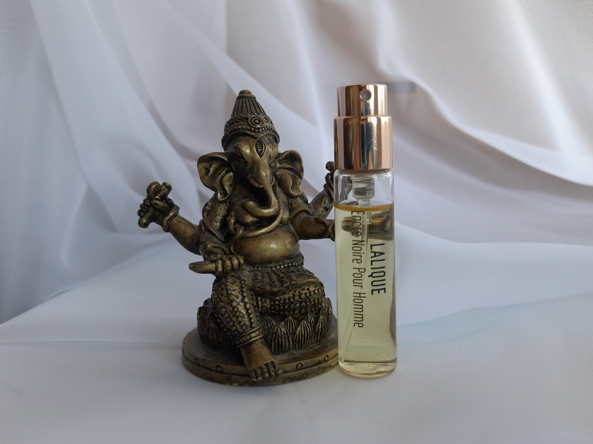 Верхняя нота: Кипарис; средняя нота: Ветивер; базовые ноты: Кашемировое дерево и Мускус.