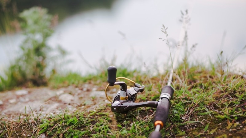 Фото: @freepik / freepik.com