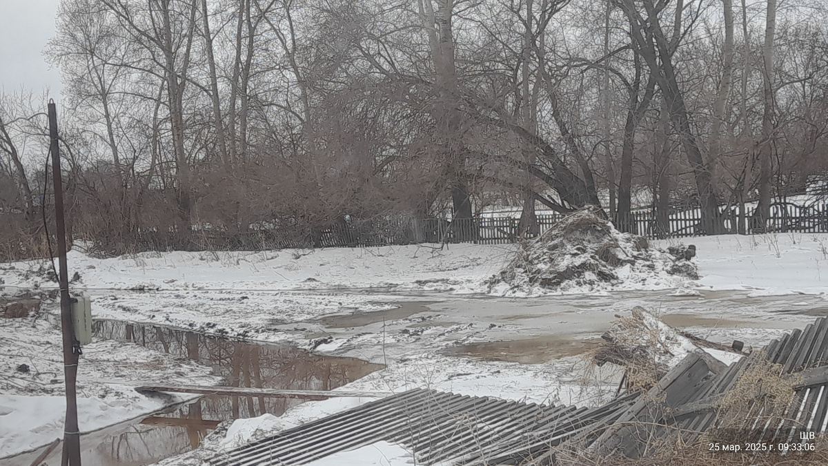 лужа.. забор упавший...