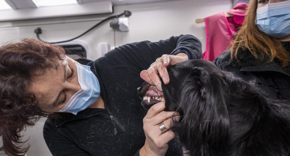    Monika Skolimowska/dpa / www.globallookpress.com