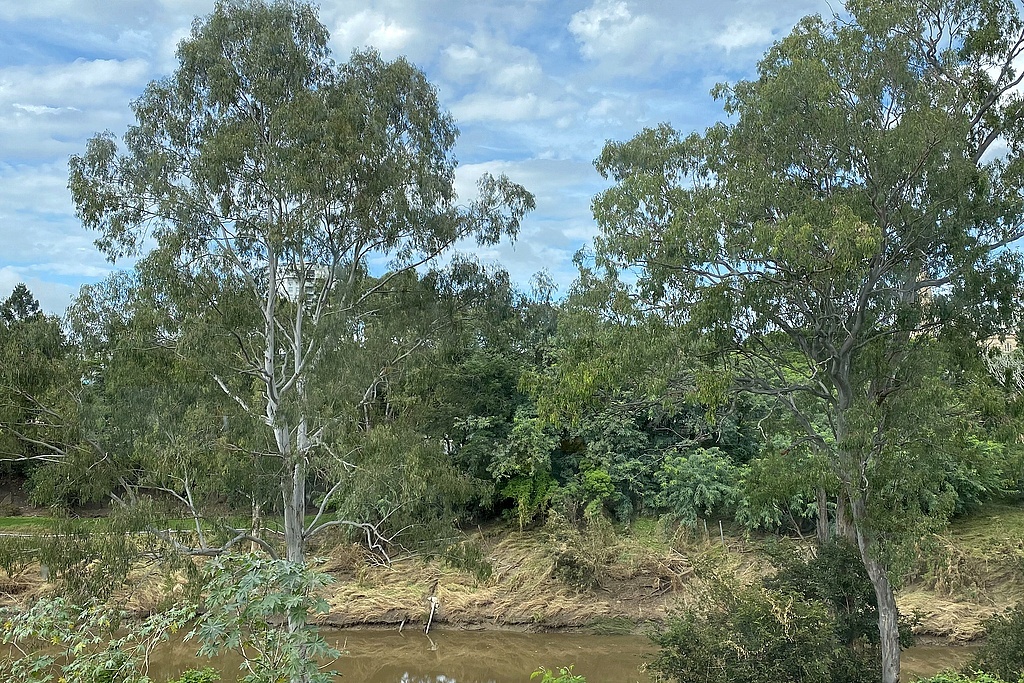 Вид с веранды ТЦ Ривэр-Линк, Ипсвич, Квинслэнд, Австралия; фото (как и последующие) - из домашнего архива