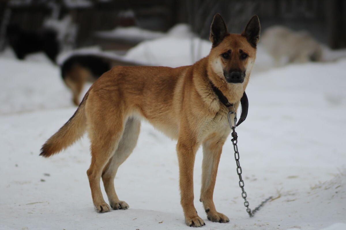 Фото: ru.freepik.com