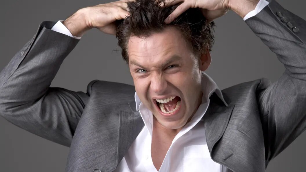    Фото: Sonja Krebs/Globallookpress