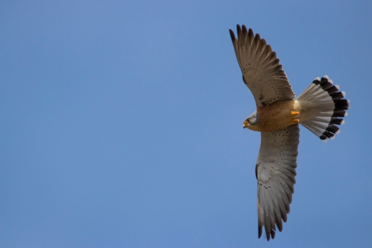    Фото Дениса Жбира