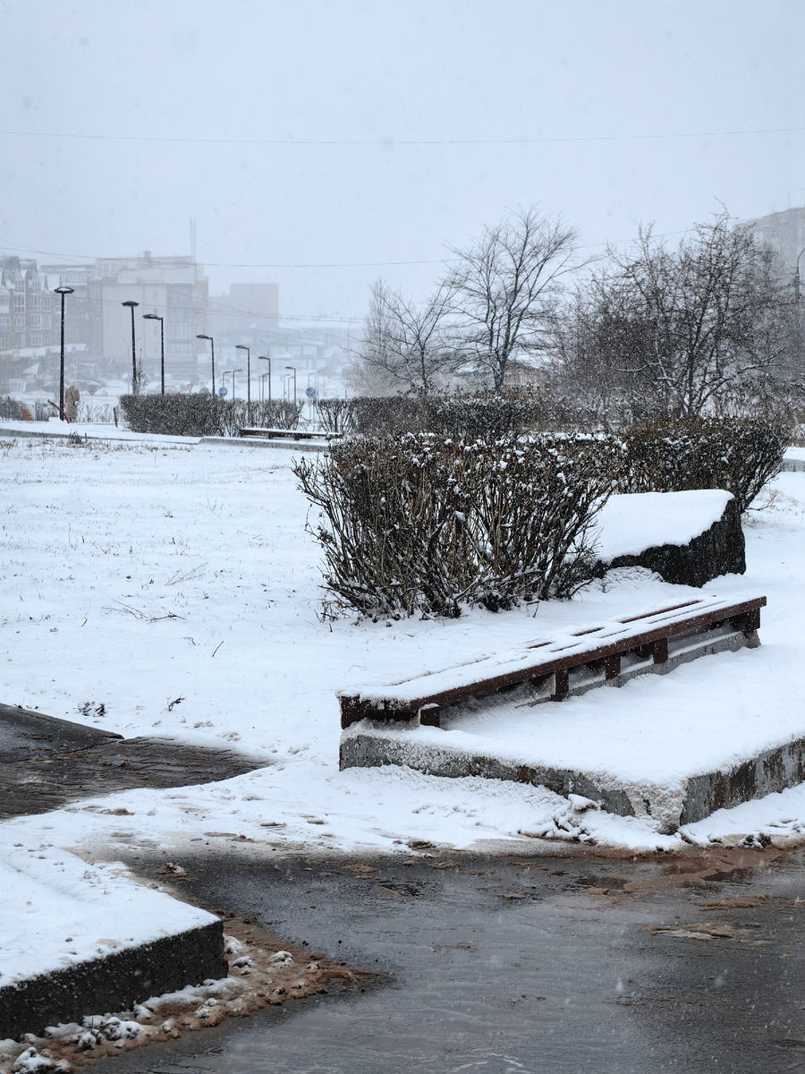 Утром была в городе. Ветер с мокрым снегом-неуютно. 