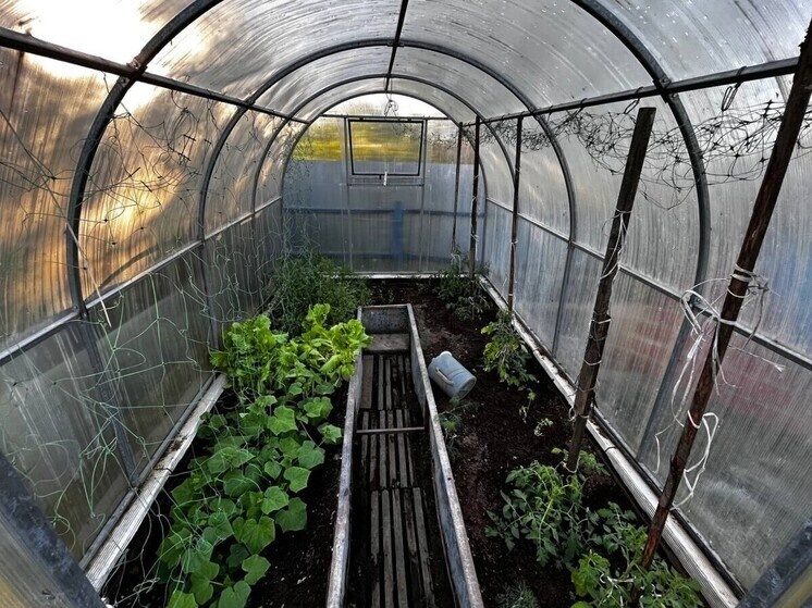   Ольга Григорьева