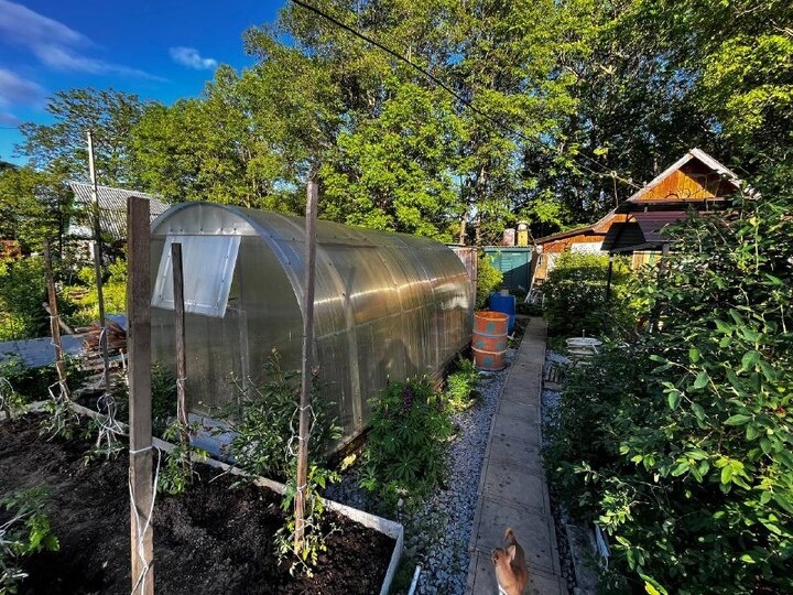   Ольга Григорьева