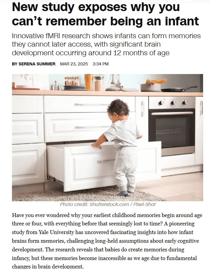    Фото: страница сайта rollingout