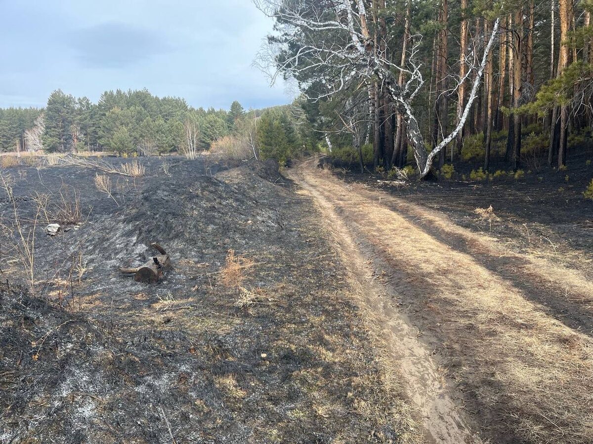    Фото: Telegram-канал «МВД 24»