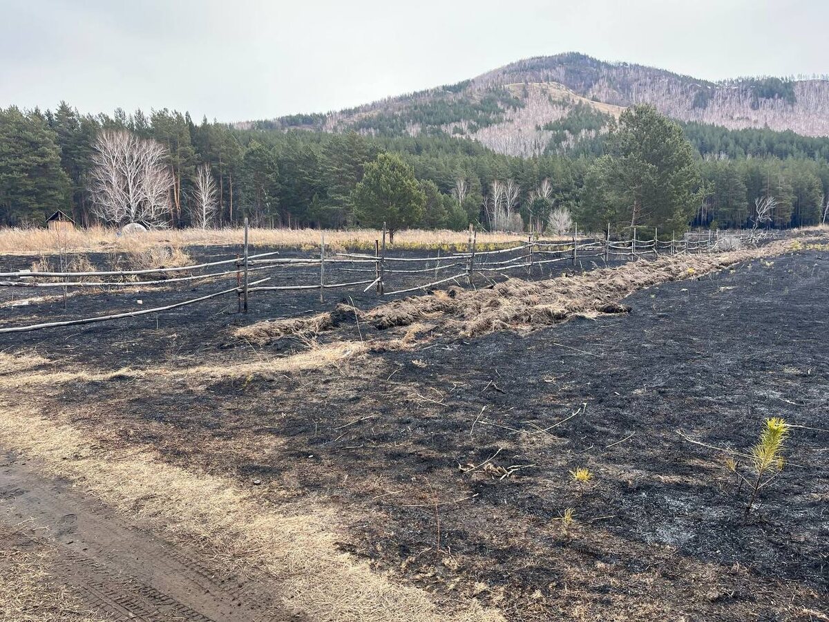    Фото: Telegram-канал «МВД 24»