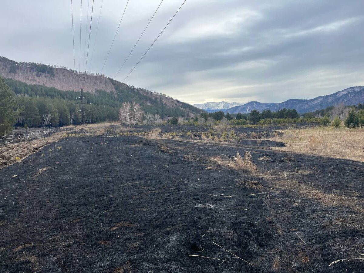    Фото: Telegram-канал «МВД 24»