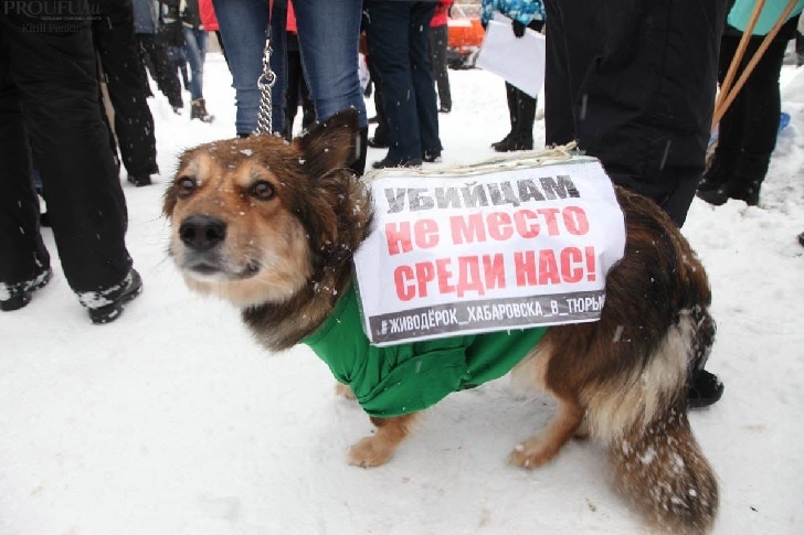    Фото: Пруфы.рф