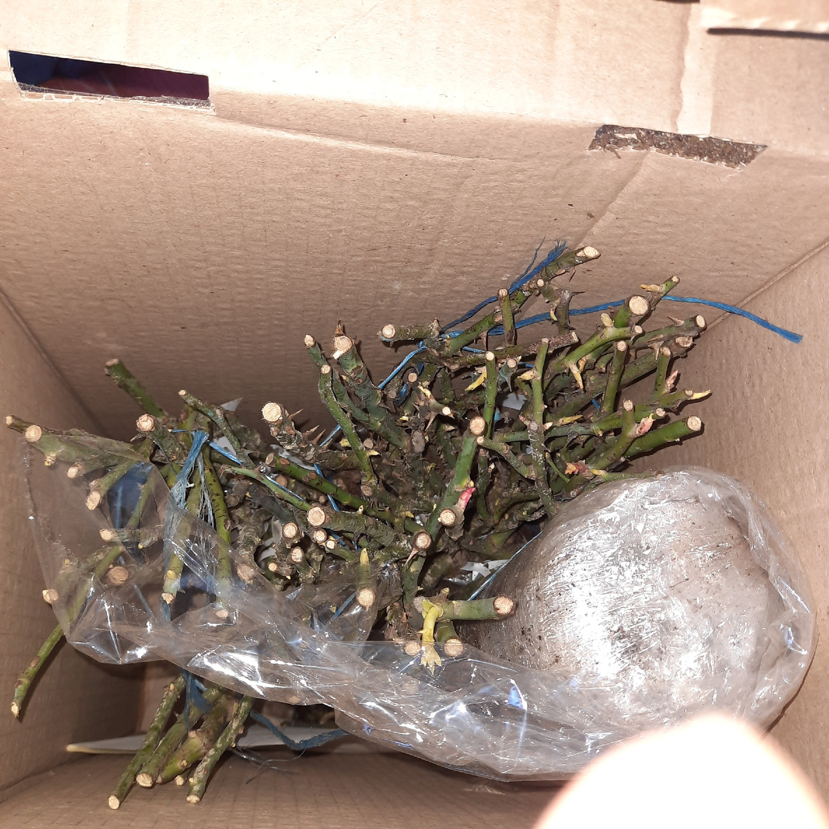 Все компактно