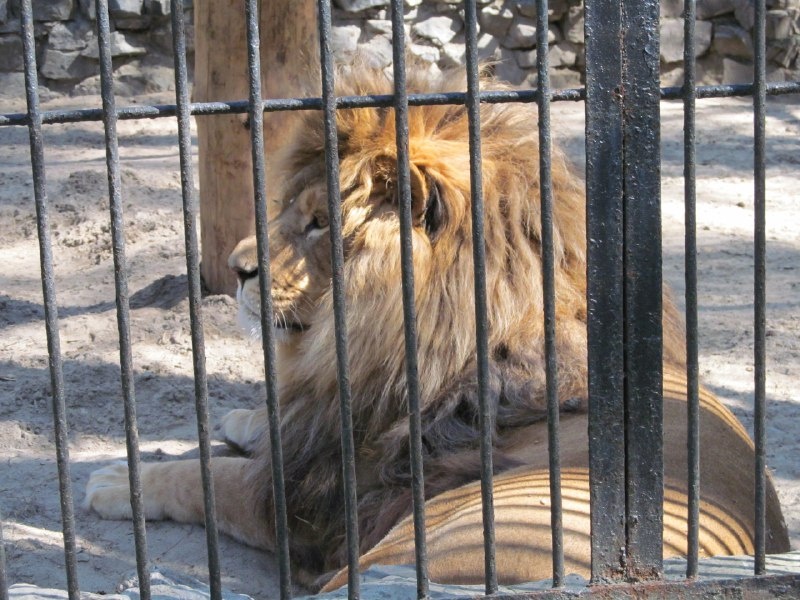    Фотография из архива редакции