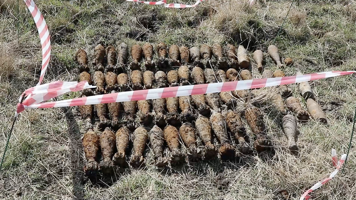    Фото: t.me/rosgvard_krasnodar