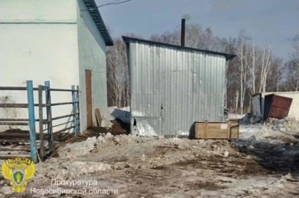    Фермер хранил биологические отходы у крематора в селе под Новосибирском