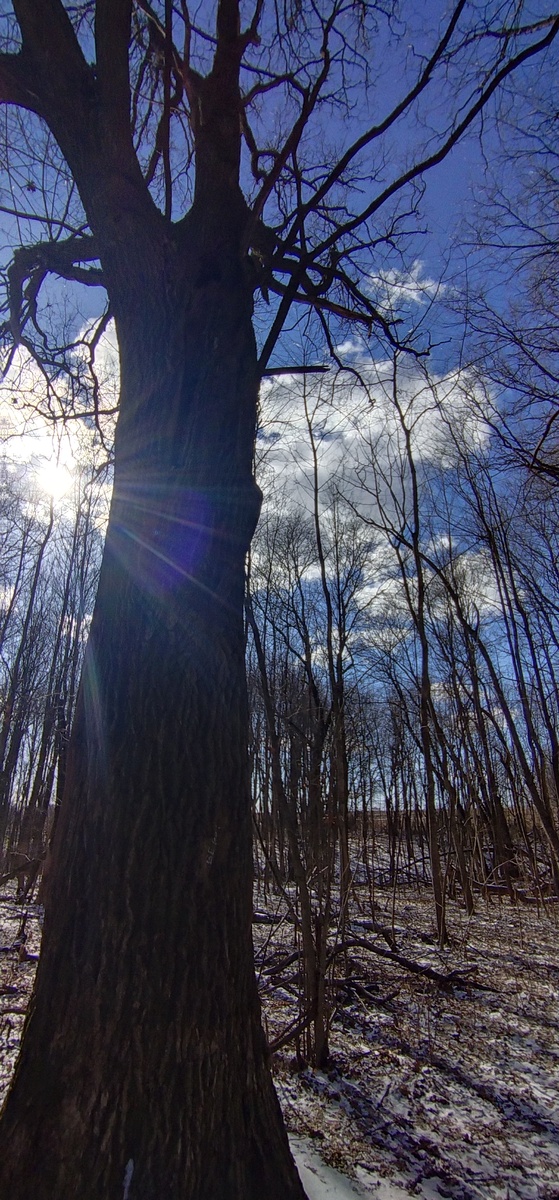 Личное фото