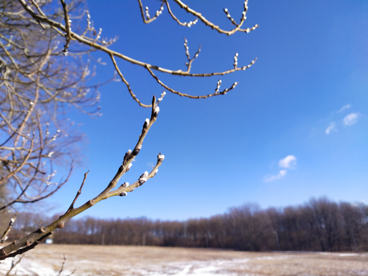 Личное фото