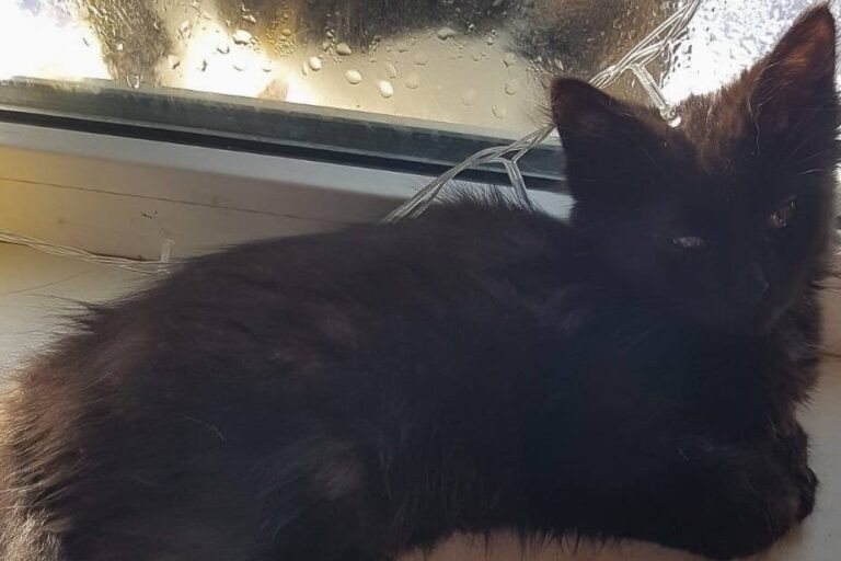    Фото: t.me/kgh_moscow Анфиса Слепцова