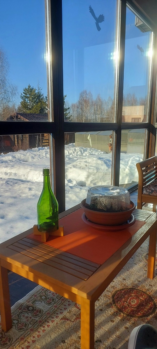 Вид с веранды на часть "за домом"