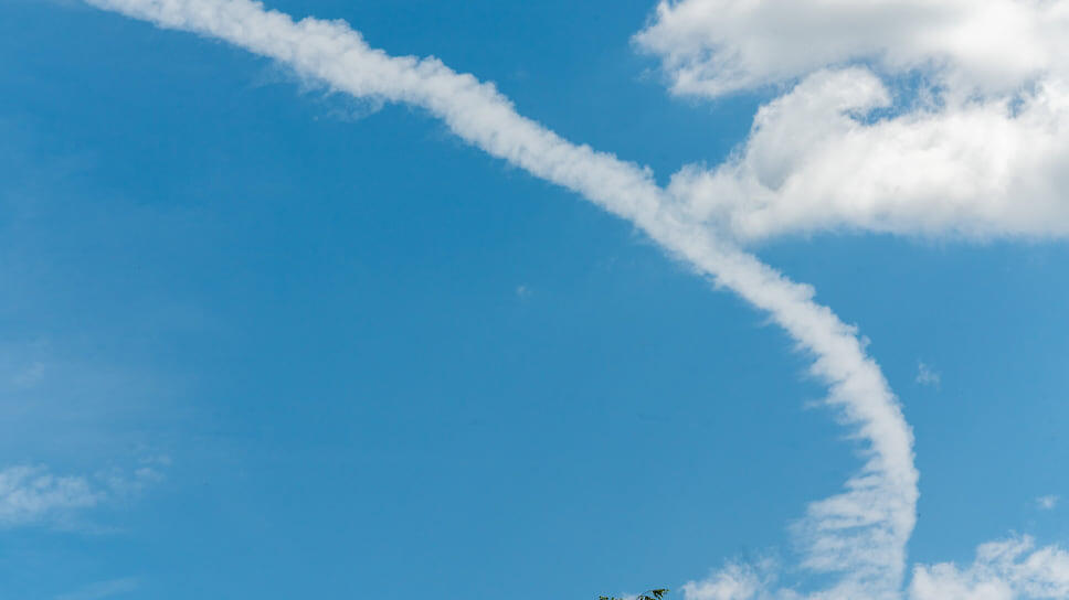 Фото: Олег Харсеев / Коммерсантъ