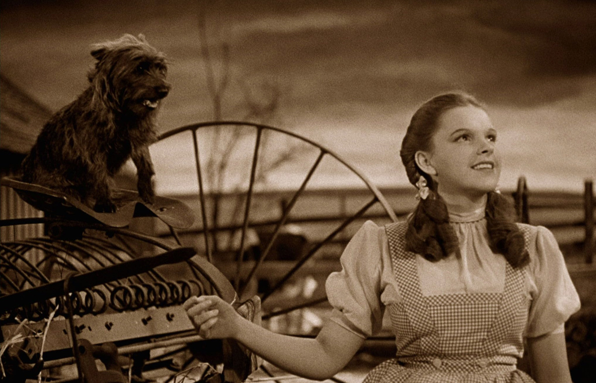 Кадр из фильма "Волшебник страны Оз" (1939)