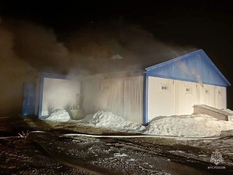     Источник: ГУ МЧС по ТО